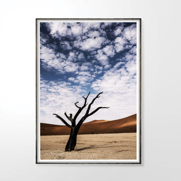 Deadvlei #2